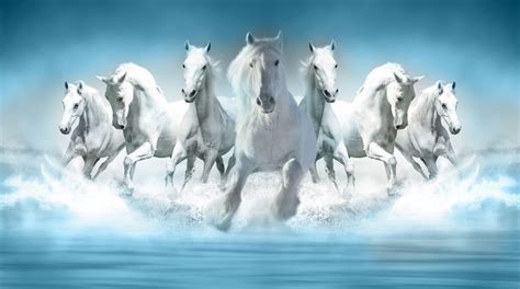 single horse vastu|7 Horse Painting, Placement, and Its Magical Benefits .